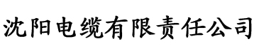 中文字幕人妻丝袜二区电缆厂logo